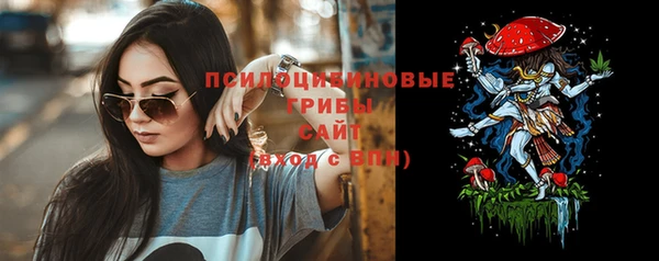 прущий лед Алексин