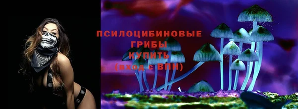 прущий лед Алексин